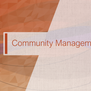 COMMUNITY MANAGER : PACKAGE MENSUEL AVANCE